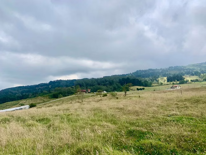 Lote en venta en Poasito -Poas Alajuela - Imagen 3