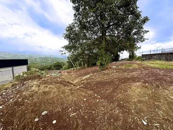 Terreno en Venta en el Centro de Naranjo – 63,045 m² para Desarrollo Comercial o Industrial