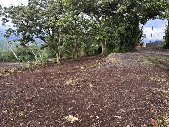 Terreno en Venta en el Centro de Naranjo – 63,045 m² para Desarrollo Comercial o Industrial