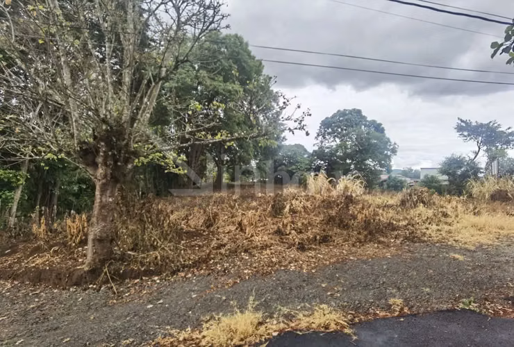 Lote de Alta Densidad para Desarrollo id#42494 - Imagen 3