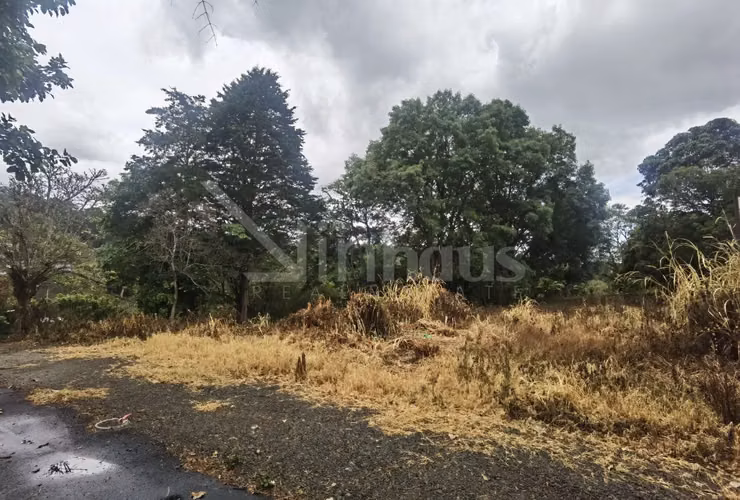 Lote de Alta Densidad para Desarrollo id#42494 - Imagen 5