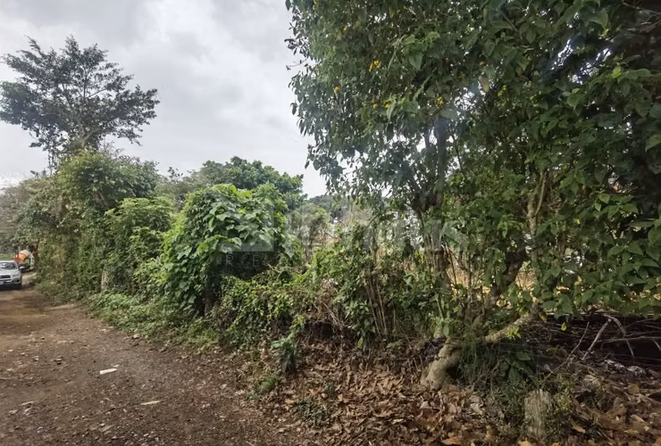 Lote de Alta Densidad para Desarrollo id#42494 - Imagen 8