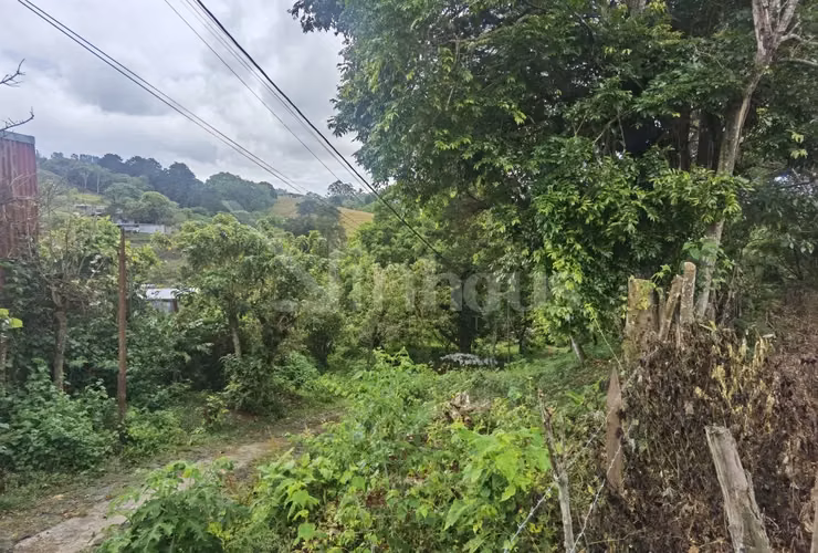 Lote de Alta Densidad para Desarrollo id#42494 - Imagen 2