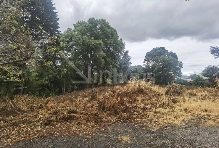 Lote de Alta Densidad para Desarrollo id#42494 - Imagen 4