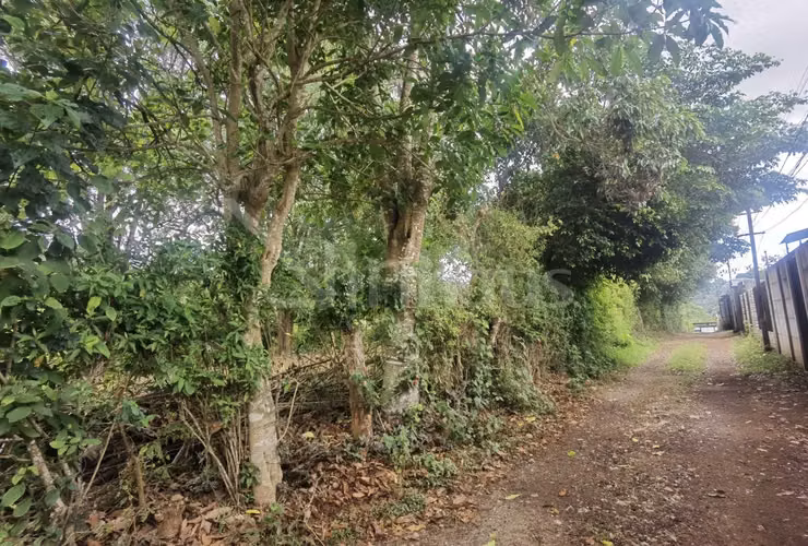 Lote de Alta Densidad para Desarrollo id#42494 - Imagen 7