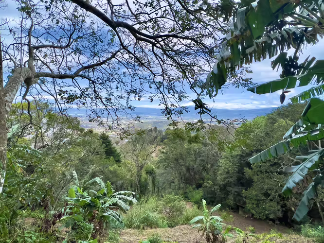 Monasterio - 4790m2 - En Condominio - Con permiso de agua - $83.5 x m2 - Imagen 4