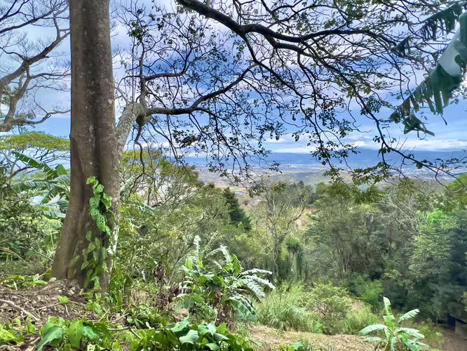 Monasterio - 4790m2 - En Condominio - Con permiso de agua - $83.5 x m2 - Imagen 2
