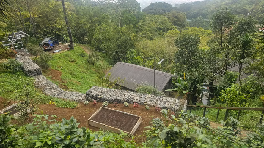 Finca en Rincón de Mora, San Ramón de Alajuela