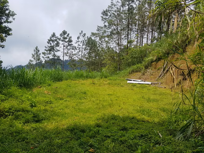 Finca en Rincón de Mora, San Ramón de Alajuela