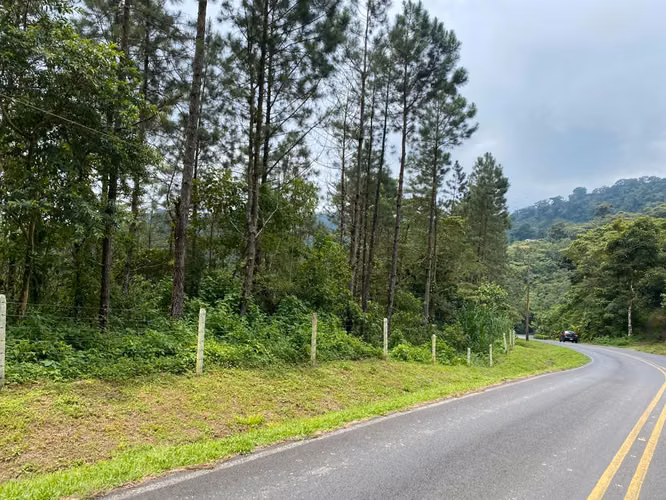 Finca en Rincón de Mora, San Ramón de Alajuela