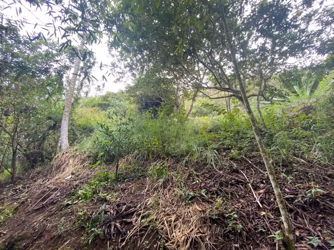 Finca con variadas vistas en Berlín, San Ramón, Alajuela