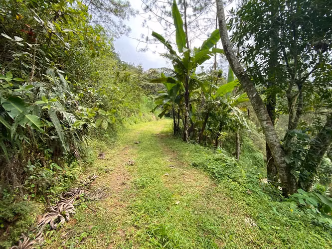 Finca con variadas vistas en Berlín, San Ramón, Alajuela