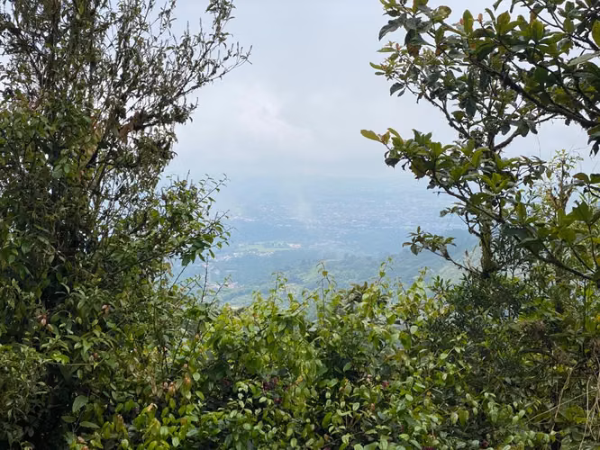 Finca con variadas vistas en Berlín, San Ramón, Alajuela