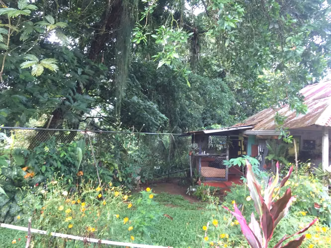 Propiedad con 2 Casas en Roxana, Pococí de Limón