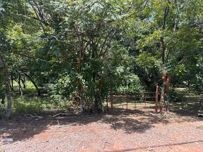 Orotina Coyolar Precioso Lote Quinta - Imagen 8