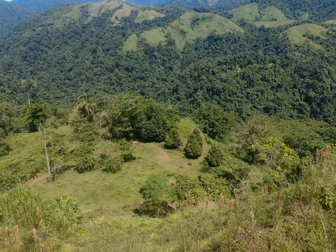 201-Hectare Income-Producing Farm with Pacific Ocean Views