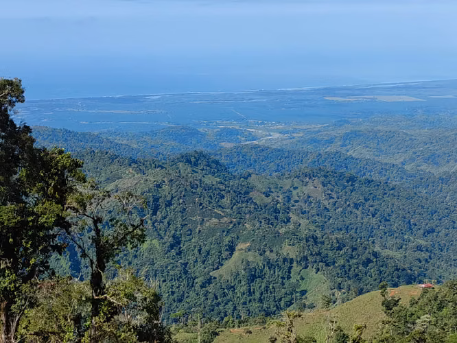 Finca Cafetalera de 201 Hectáreas con Vista al Océano Pacífico - Imagen 18