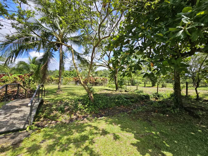 Venta de casa con terreno plano y Quebrada Natural | Peñas Blancas, San Ramón