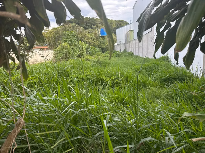 Venta de hermoso lote en San Pedro de Barva, Heredia - Imagen 7