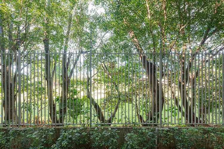VENTA DE APARTAMENTO FULL AMUEBLADO CON PARQUEO BAJO TECHO - Imagen 4