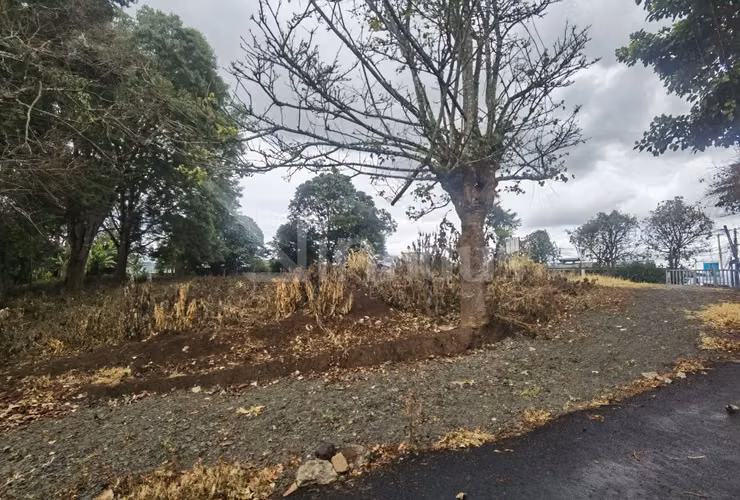 id # 42494 Venta de terreno de alta densidad, San Ramón de Tres Ríos.