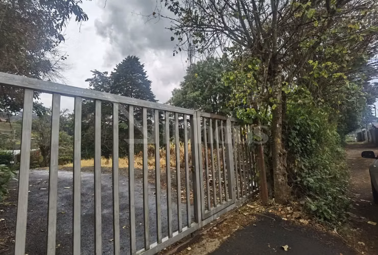 id # 42494 Venta de terreno de alta densidad, San Ramón de Tres Ríos. - Imagen 9