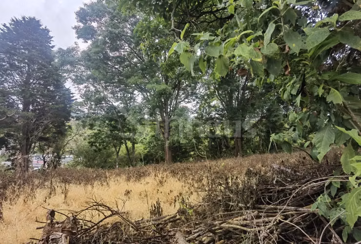 id # 42494 Venta de terreno de alta densidad, San Ramón de Tres Ríos. - Imagen 6