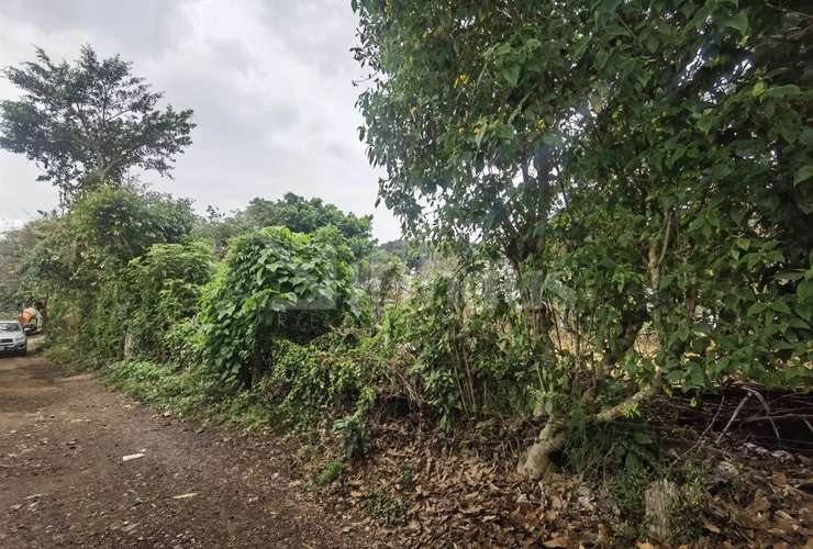 Venta de terreno de alta densidad, San Ramón de Tres Ríos.id # 42494  - Imagen 17