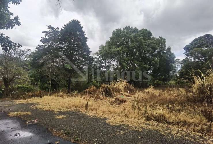 Venta de terreno de alta densidad, San Ramón de Tres Ríos.id # 42494  - Imagen 14