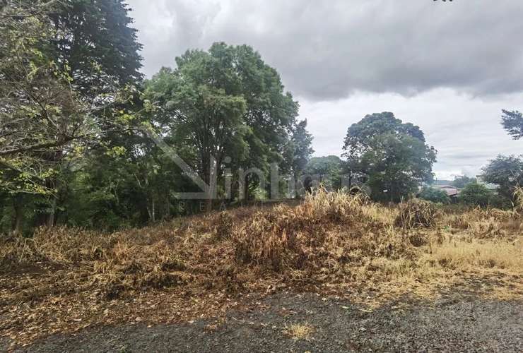 Venta de terreno de alta densidad, San Ramón de Tres Ríos.id # 42494  - Imagen 13