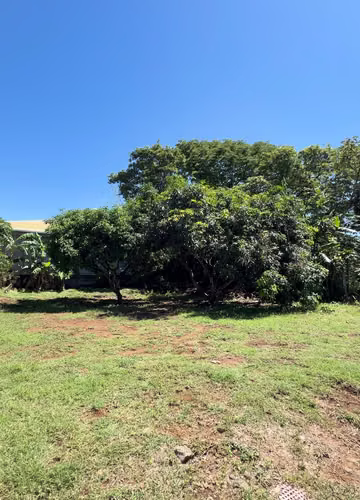 VENTA DE LOTE EN CEBADILLA-TURRÚCARES-ALAJUELA - Imagen 8