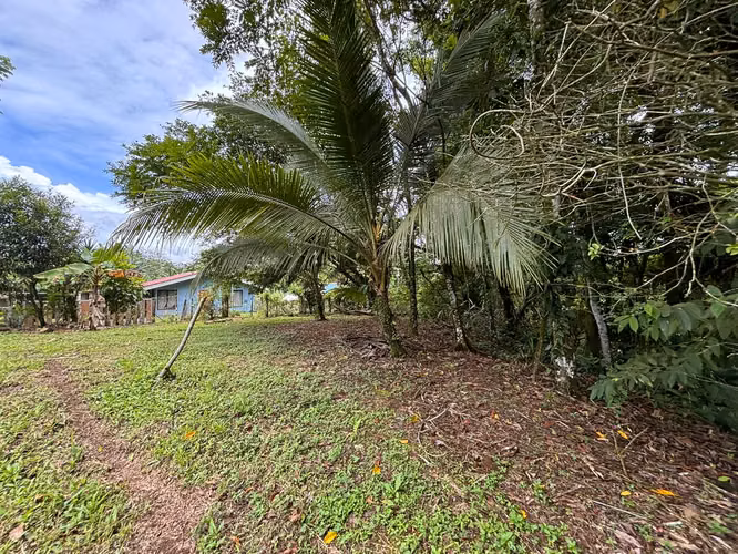 Terreno en venta | Chachagua, Peñas Blancas. | 3.389 m² | - Imagen 13