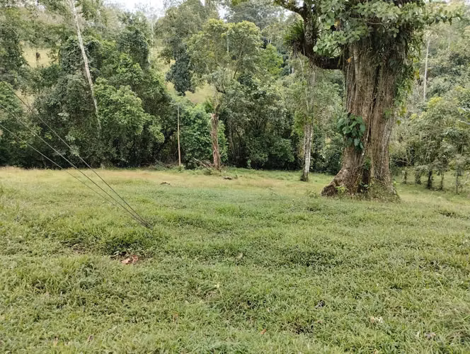 Venta de finca en  Pocosol 75,029 m², San Carlos, naturaleza y potencial en un solo lugar - Imagen 4
