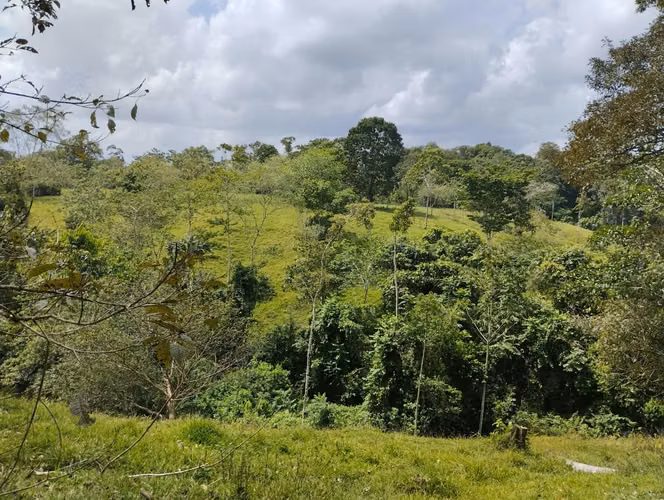 Venta de finca en  Pocosol 75,029 m², San Carlos, naturaleza y potencial en un solo lugar - Imagen 5
