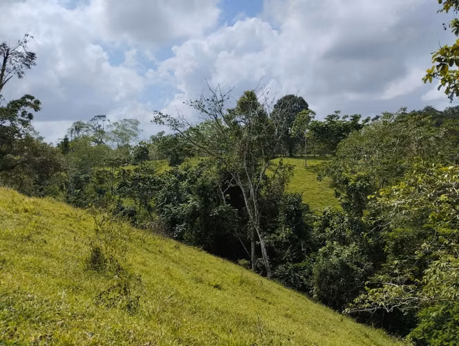 Venta de finca en  Pocosol 75,029 m², San Carlos, naturaleza y potencial en un solo lugar - Imagen 6