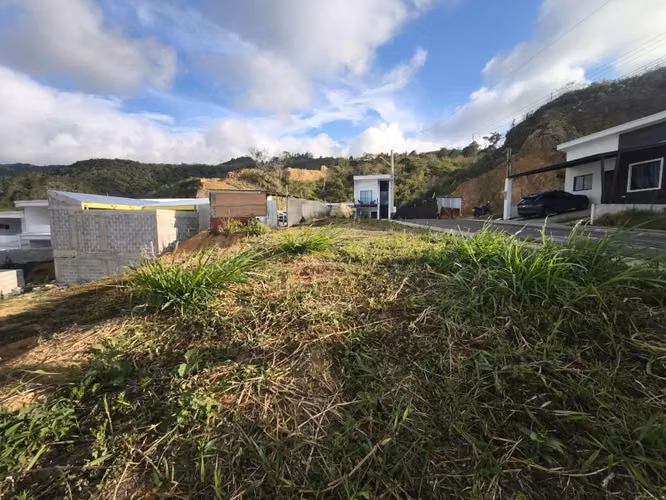 Venta de lote en Cartago - Imagen 2