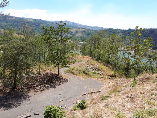 Atenas, a la venta, 21,308 m2