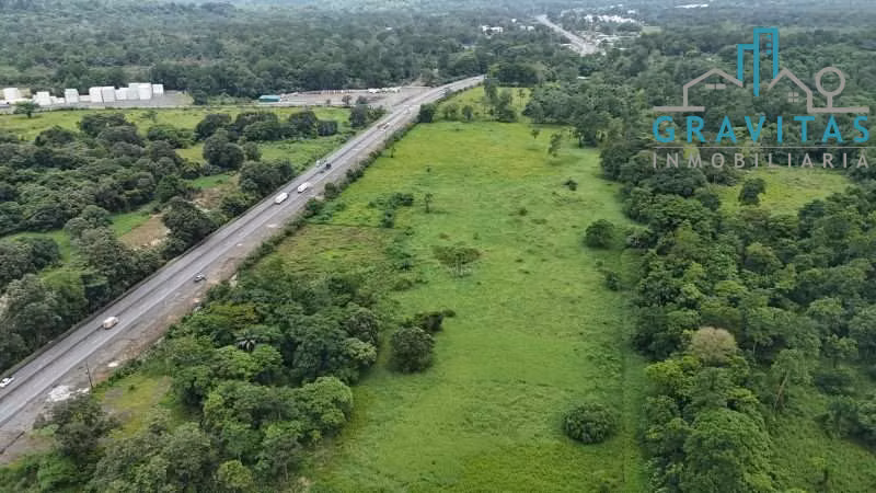 Venta de Terreno industrial y logístico, Ruta 32, Limón 10 Hectáreas ID 2010