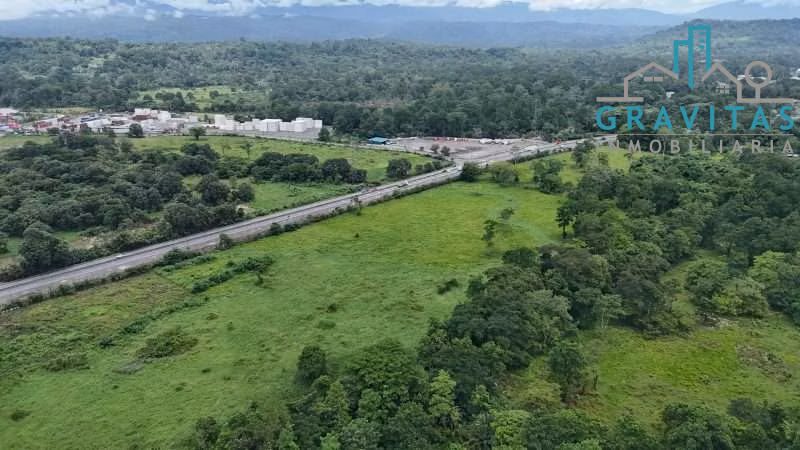 Venta de Terreno industrial y logístico, Ruta 32, Limón 10 Hectáreas ID 2010