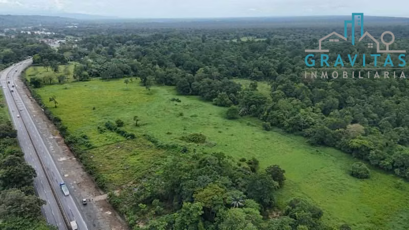 Venta de Terreno industrial y logístico, Ruta 32, Limón 10 Hectáreas ID 2010