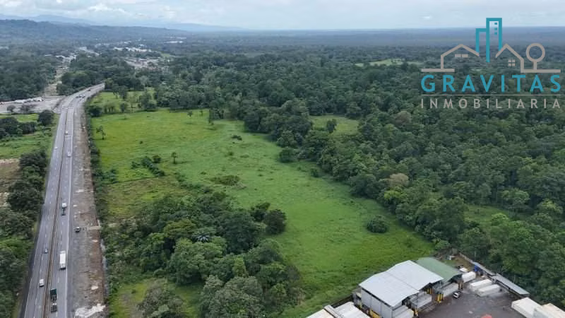 Venta de Terreno industrial y logístico, Ruta 32, Limón 10 Hectáreas ID 2010