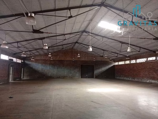 Alquiler de bodega en Guadalupe, Ipís 1465m2 ID 2011
