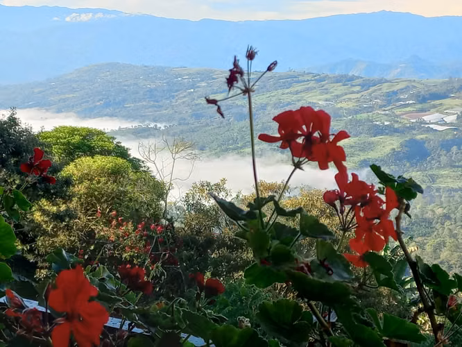 Venta de Quinta, Santa Cruz, Turrialba GBV-222