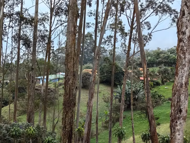 Venta de Quinta, Santa Cruz, Turrialba GBV-222