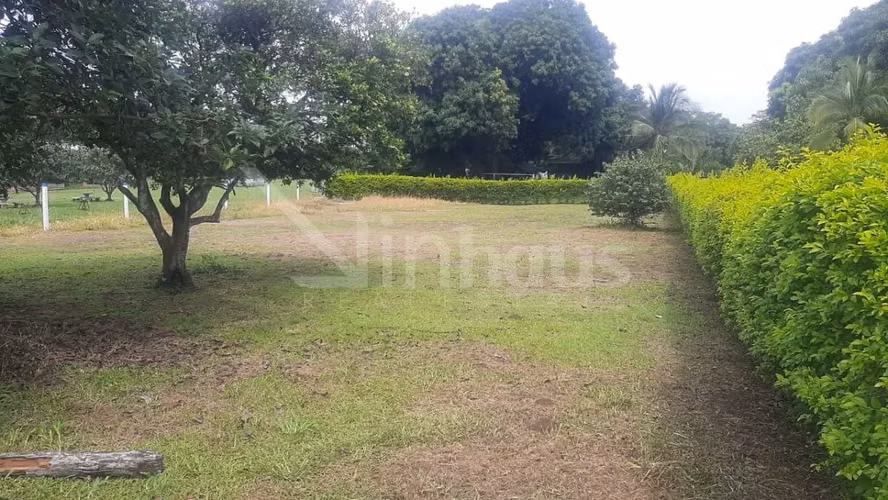 Venta de lote en Orotina id # 40906  - Imagen 6