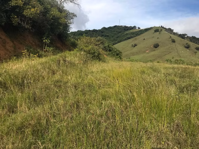 Venta de terreno en Quircot con bellas vistas, Cartago - Imagen 7