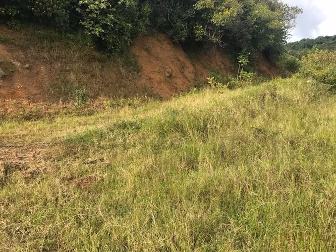 Venta de terreno en Quircot con bellas vistas, Cartago - Imagen 10