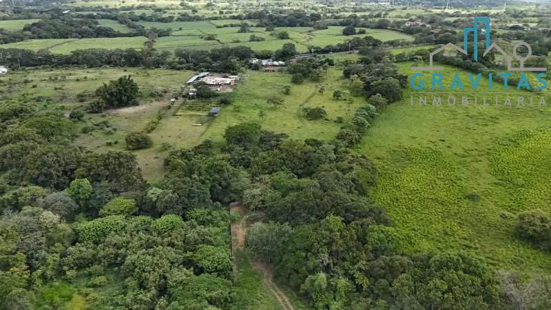 Venta de finca en el Coyol, Alajuela, Uso industrial 10 Hectáreas ID 2015