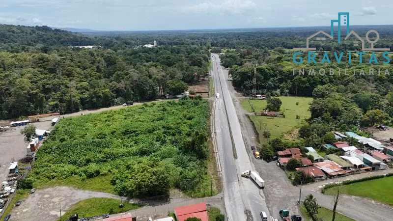 Venta de terreno industrial y comercial en Limón 2.2 Hectáreas ID 2019