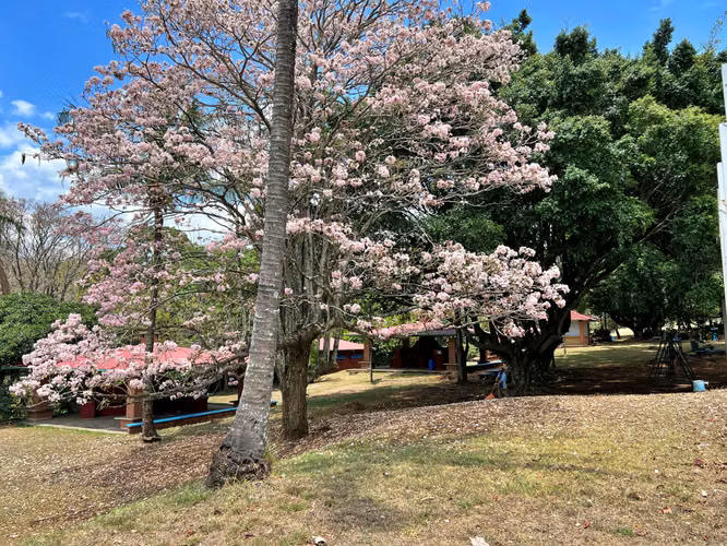 Venta centro recreativo para inversionistas, Rio segundo. (IC)